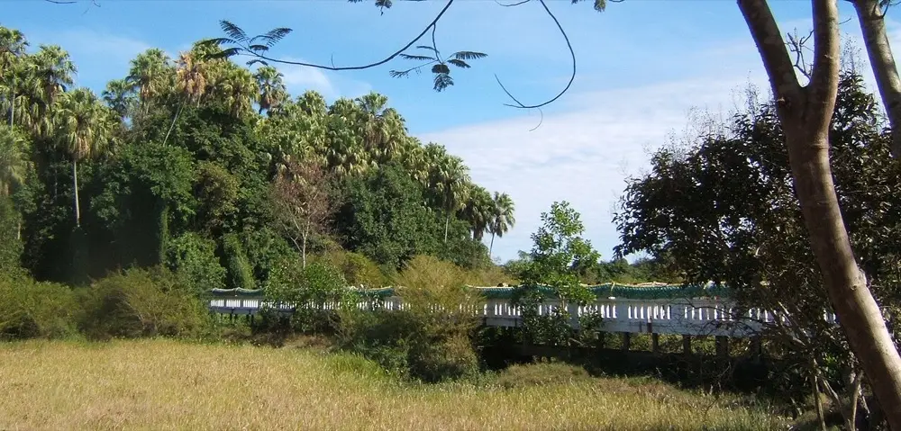 Kham Chanot Naga Forest