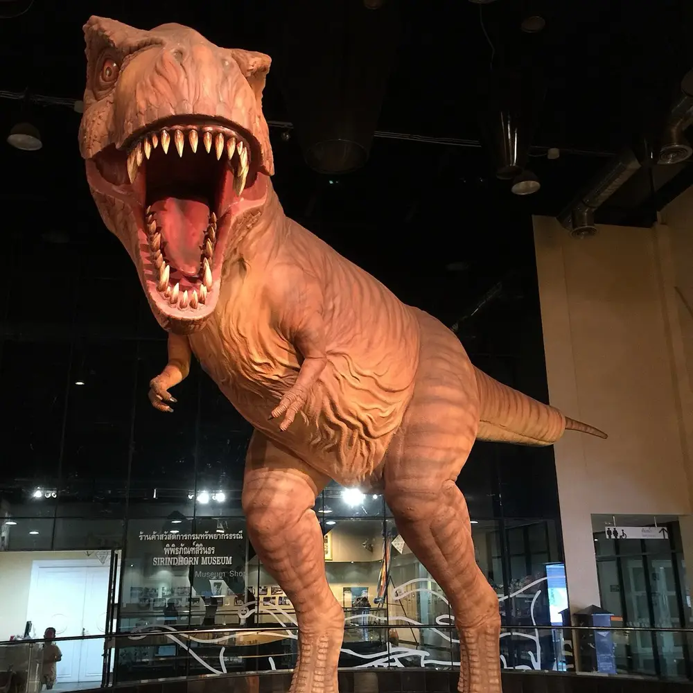 Sirindhorn Museum (Phu Kum Khao)